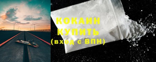 индика Армянск