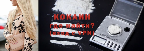 индика Армянск