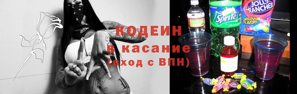 индика Армянск