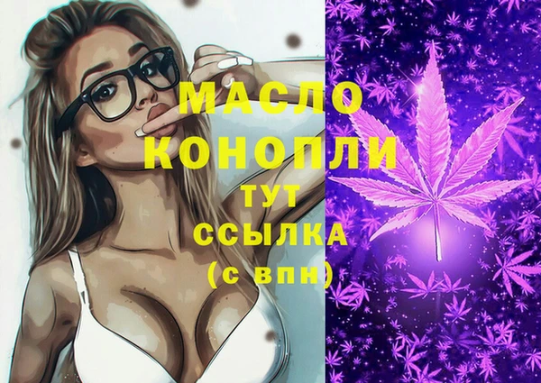 индика Армянск
