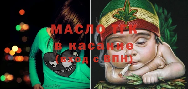 индика Армянск
