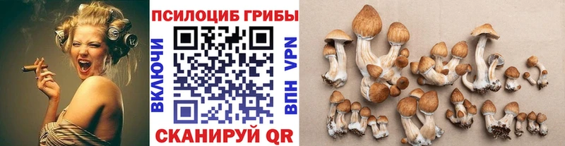 сколько стоит  Камбарка  Псилоцибиновые грибы ЛСД 